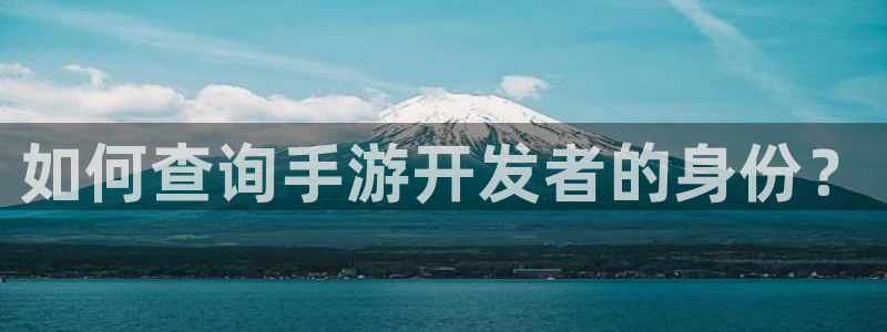 大神pc28开奖官网：如何查询手游开发者的身份？