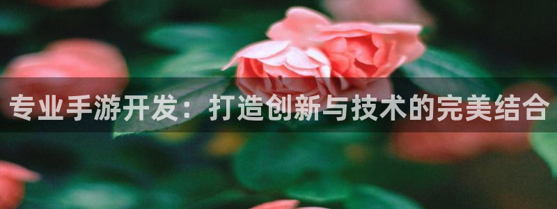 大神吧论坛28预测：专业手游开发：打造创新与技术的完美结合