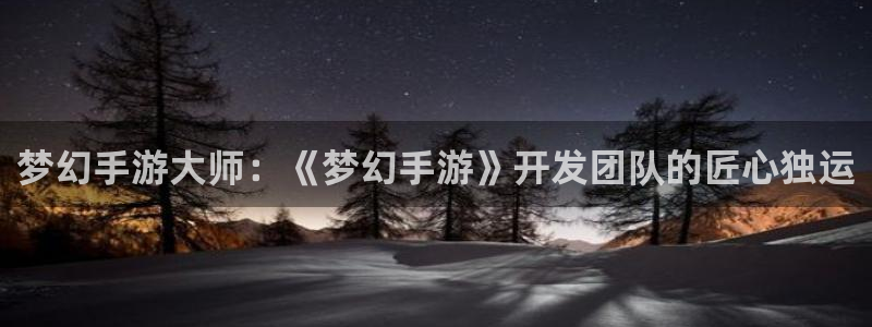 28大神开奖软件：梦幻手游大师：《梦幻手游》开发团队的匠心独