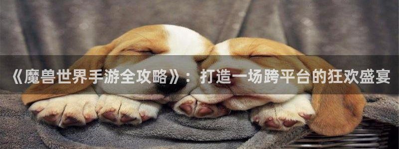 28大神预测：《魔兽世界手游全攻略》：打造一场跨平台的狂欢盛