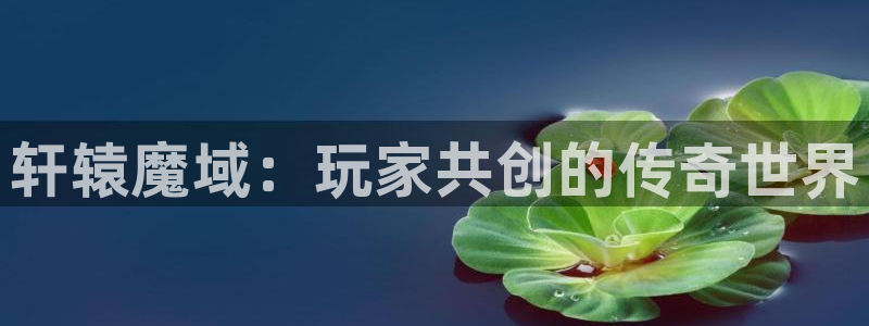 28大神加拿大在线预测网站：轩辕魔域：玩家共创的传奇世界